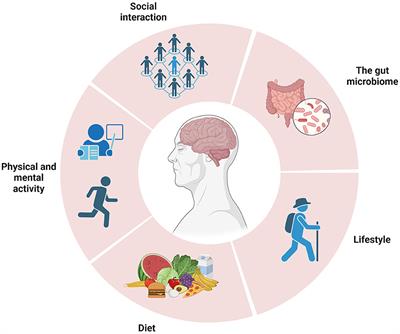 Editorial: Nutrition for an aging brain